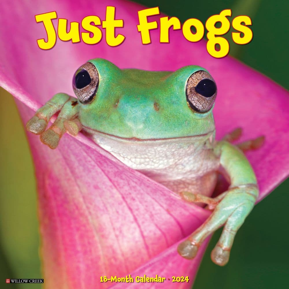 Frogs 2024 Wall Calendar Main Image width=&quot;1000&quot; height=&quot;1000&quot;