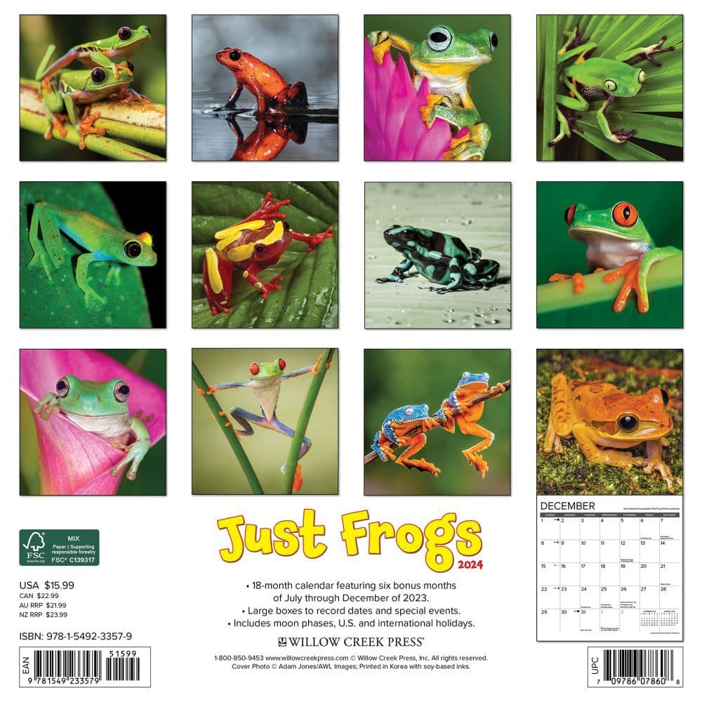 Frogs 2025 Wall Calendar