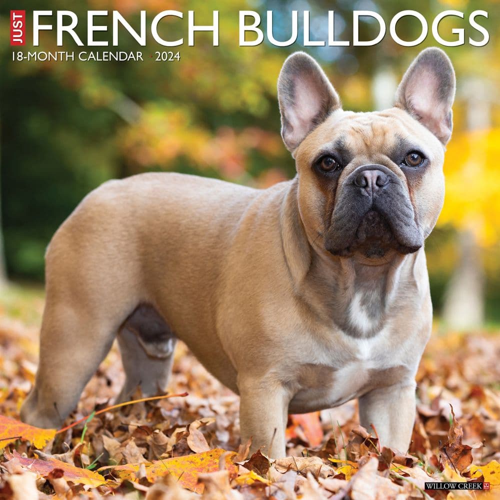 Just French Bulldogs 2024 Wall Calendar Main Image width=&quot;1000&quot; height=&quot;1000&quot;
