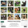 image Just French Bulldogs 2024 Wall Calendar Back of Calendar width=&quot;1000&quot; height=&quot;1000&quot;