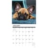 image Just French Bulldogs 2024 Wall Calendar Interior Image width=&quot;1000&quot; height=&quot;1000&quot;