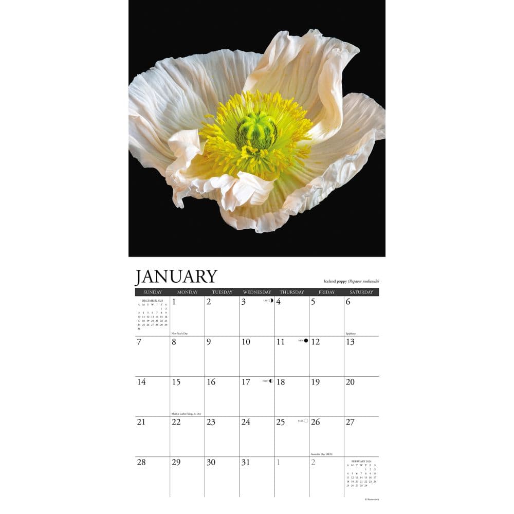 Flowers 2024 Wall Calendar Interior Image width=&quot;1000&quot; height=&quot;1000&quot;