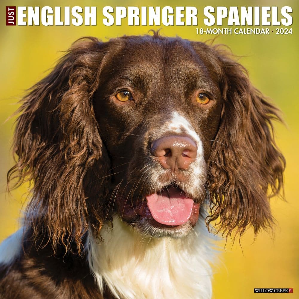 Just English Springer Spaniels 2024 Wall Calendar Main Image width=&quot;1000&quot; height=&quot;1000&quot;