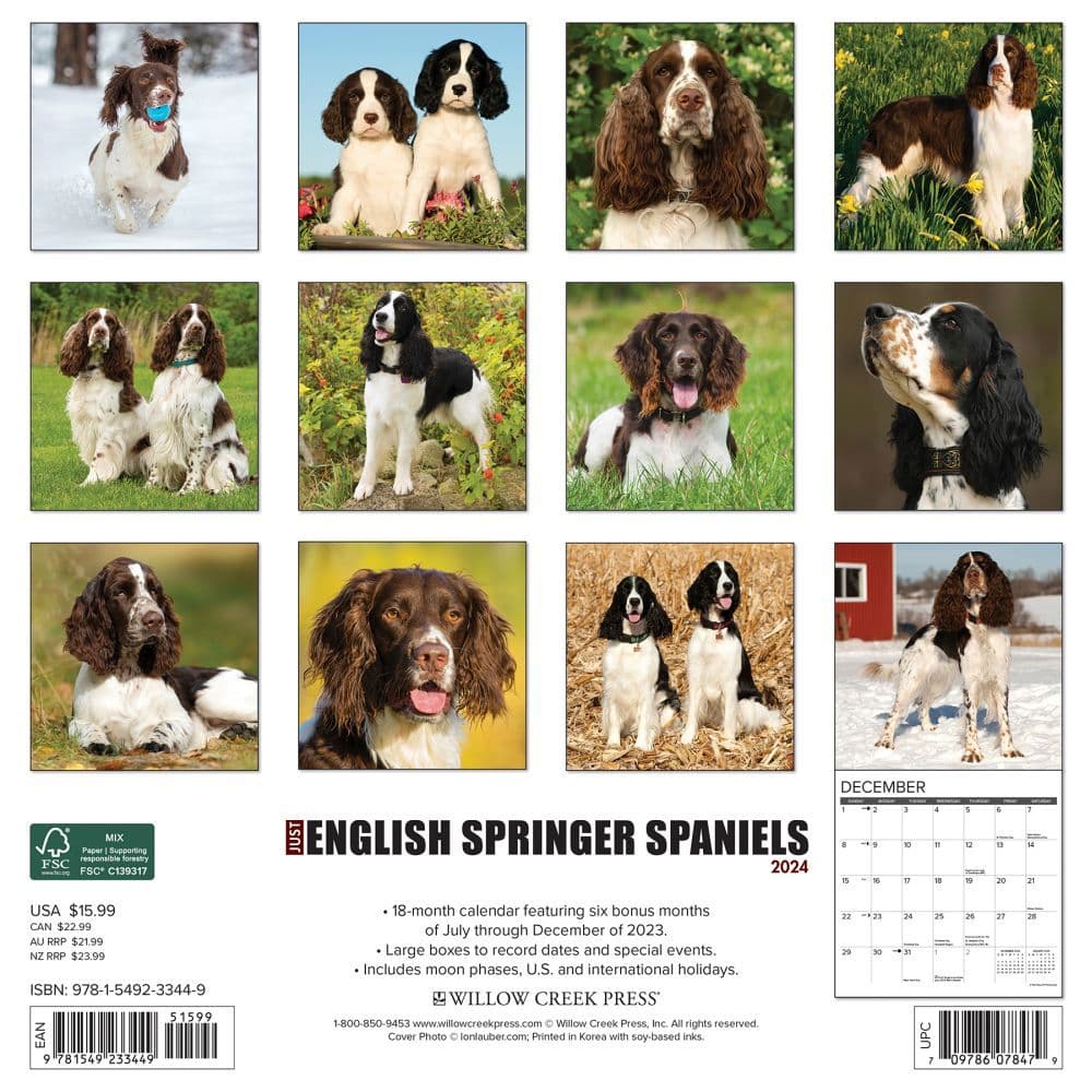 Just English Springer Spaniels 2024 Wall Calendar Back of Calendar width=&quot;1000&quot; height=&quot;1000&quot;