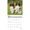 image Just English Springer Spaniels 2024 Wall Calendar Interior Image width=&quot;1000&quot; height=&quot;1000&quot;