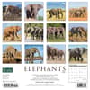 image Elephants 2024 Wall Calendar Back of Calendar width=&quot;1000&quot; height=&quot;1000&quot;