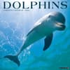 image Dolphins 2024 Wall Calendar Main Image width=&quot;1000&quot; height=&quot;1000&quot;