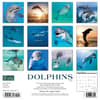 image Dolphins 2024 Wall Calendar Back of Calendar width=&quot;1000&quot; height=&quot;1000&quot;