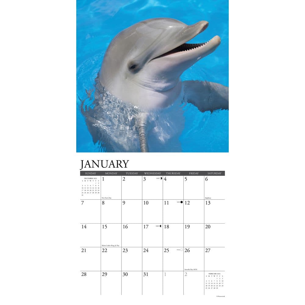 Dolphins 2024 Wall Calendar Interior Image width=&quot;1000&quot; height=&quot;1000&quot;