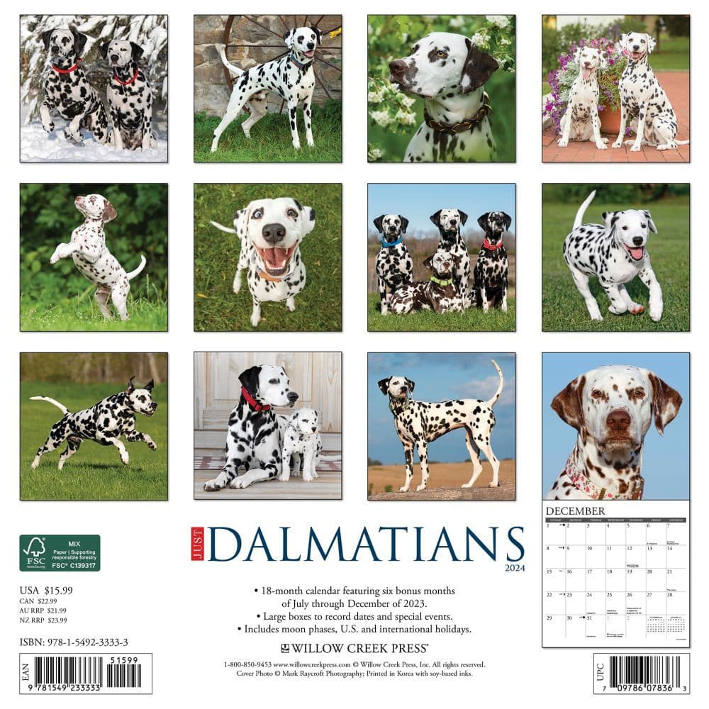 Just Dalmatians 2024 Wall Calendar Back of Calendar width=&quot;1000&quot; height=&quot;1000&quot;