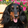image Just Dachshunds 2024 Wall Calendar Main Image width=&quot;1000&quot; height=&quot;1000&quot;
