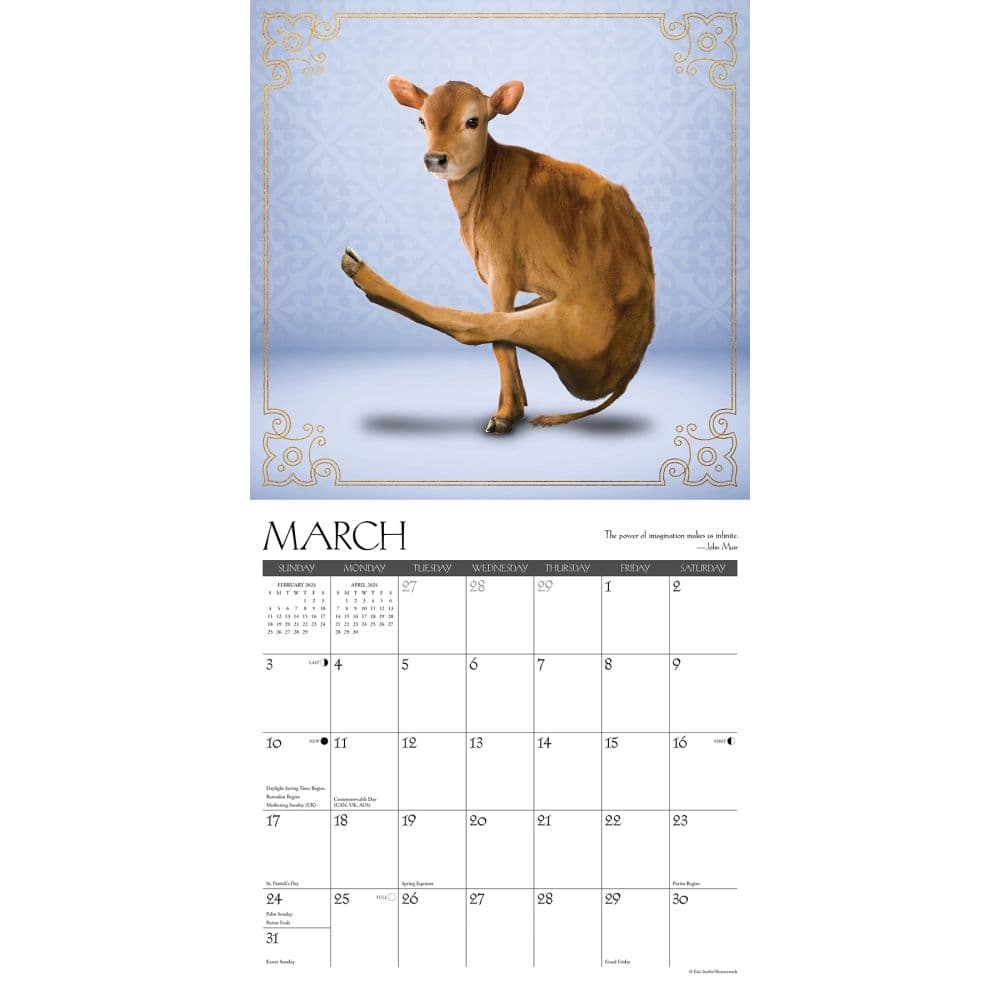 Cow Yoga 2024 Wall Calendar Interior Image width=&quot;1000&quot; height=&quot;1000&quot;
