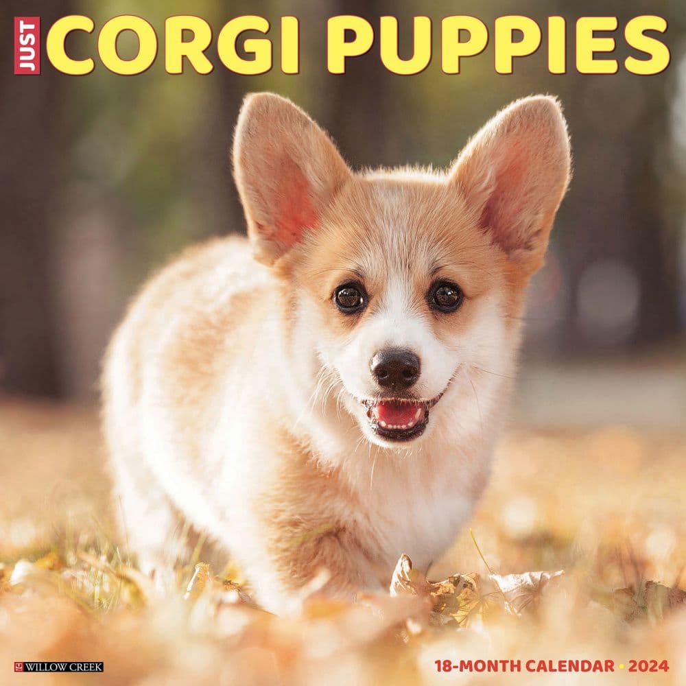 Just Corgi Puppies 2024 Wall Calendar Main Image width=&quot;1000&quot; height=&quot;1000&quot;