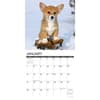 image Just Corgi Puppies 2024 Wall Calendar Interior Image width=&quot;1000&quot; height=&quot;1000&quot;