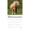 image Ponies 2024 Wall Calendar Interior Image width=&quot;1000&quot; height=&quot;1000&quot;