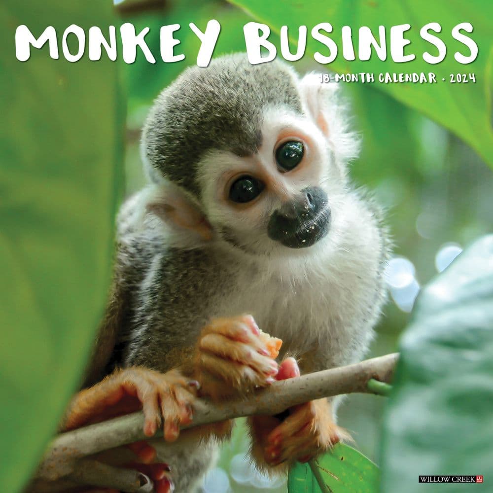 Monkey Business 2024 Wall Calendar Calendars Com   202400003920 