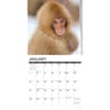 image Monkey Business 2024 Wall Calendar Interior Image width=&quot;1000&quot; height=&quot;1000&quot;