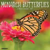 image Monarch Butterflies 2024 Wall Calendar Main Image width=&quot;1000&quot; height=&quot;1000&quot;