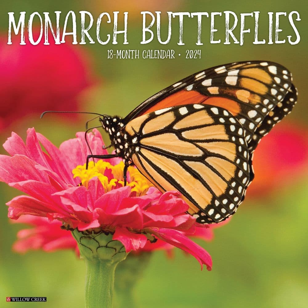 Monarch Butterflies 2024 Wall Calendar Main Image width=&quot;1000&quot; height=&quot;1000&quot;