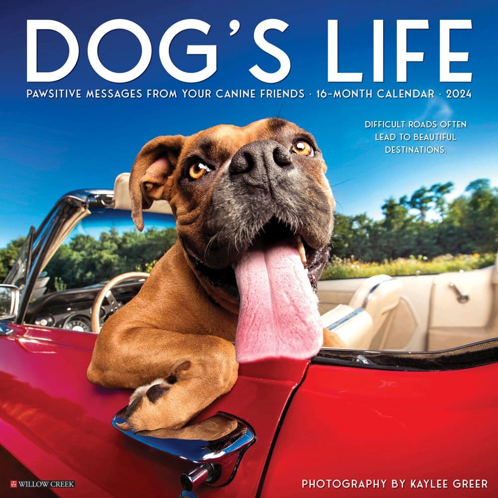 Dogs Life 2024 Wall Calendar Main Image width=&quot;1000&quot; height=&quot;1000&quot;