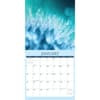 image Bliss Serenity In Nature 2024 Wall Calendar Interior Image width=&quot;1000&quot; height=&quot;1000&quot;