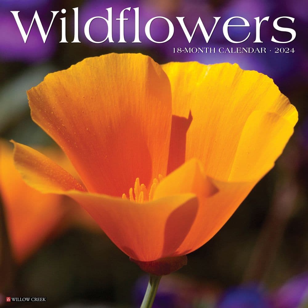 Wildflowers 2024 Wall Calendar