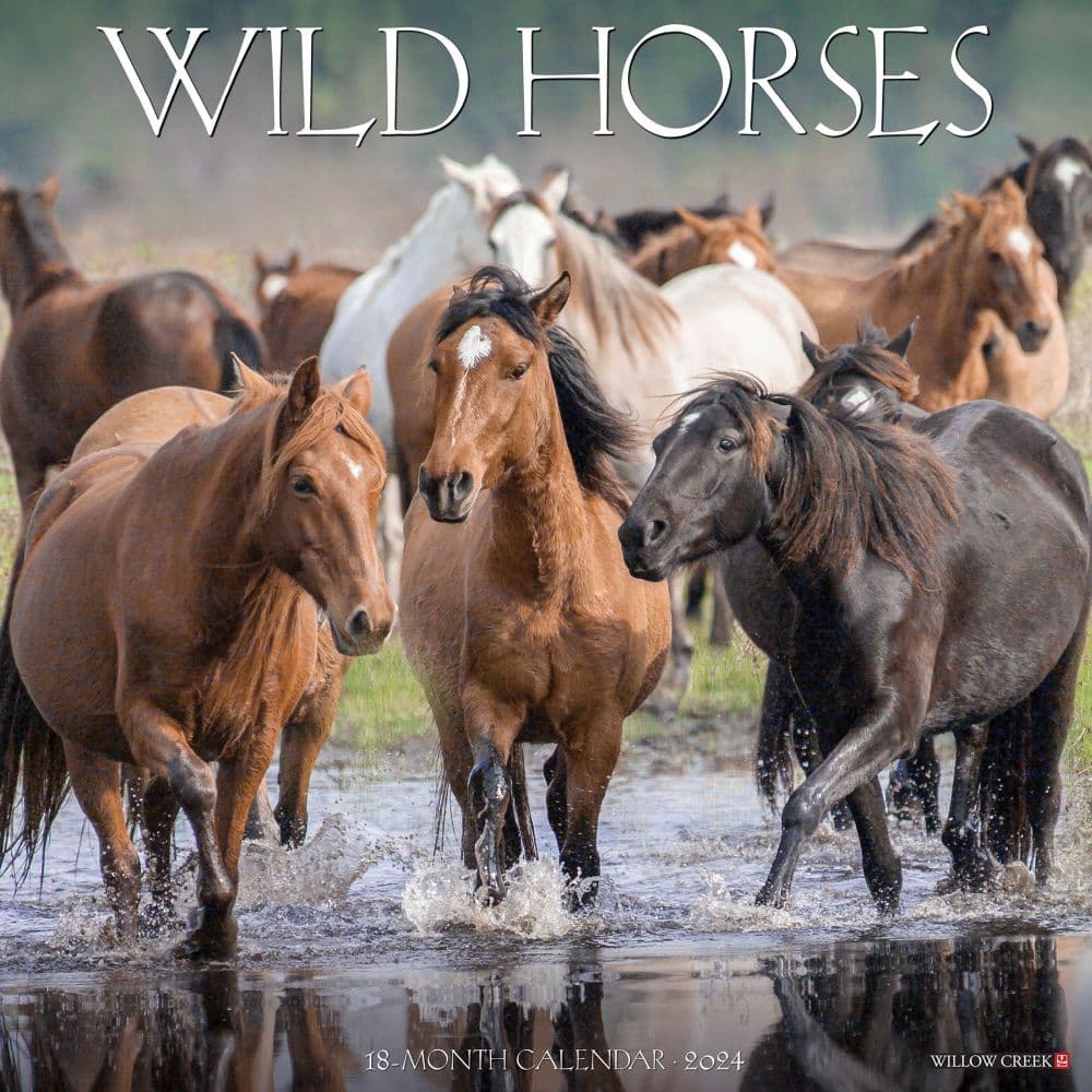 Horses Wild 2024 Wall Calendar Main Image width=&quot;1000&quot; height=&quot;1000&quot;