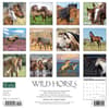 image Horses Wild 2024 Wall Calendar Back of Calendar width=&quot;1000&quot; height=&quot;1000&quot;