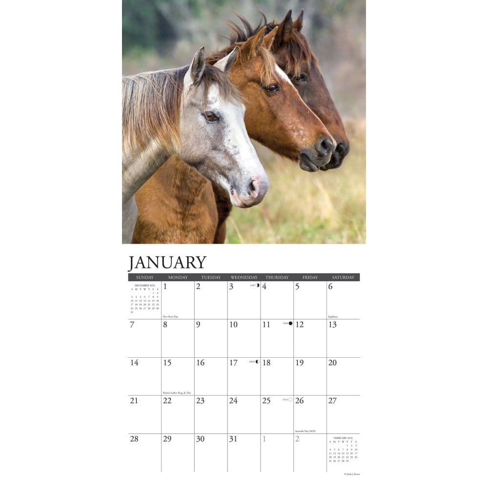 Horses Wild 2024 Wall Calendar Interior Image width=&quot;1000&quot; height=&quot;1000&quot;