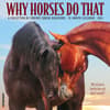 image Why Horses Do That 2024 Wall Calendar Main Image width=&quot;1000&quot; height=&quot;1000&quot;
