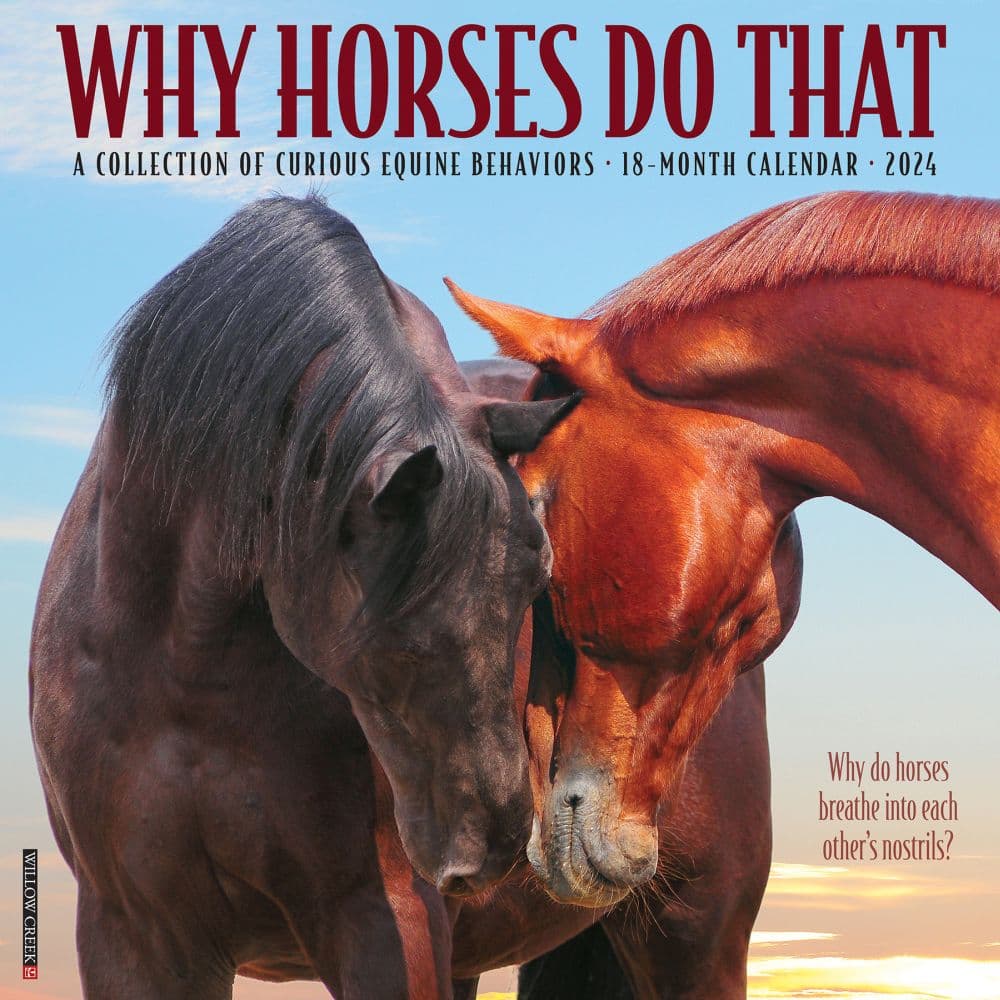 Why Horses Do That 2024 Wall Calendar Main Image width=&quot;1000&quot; height=&quot;1000&quot;