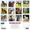 image Why Horses Do That 2024 Wall Calendar Back of Calendar width=&quot;1000&quot; height=&quot;1000&quot;