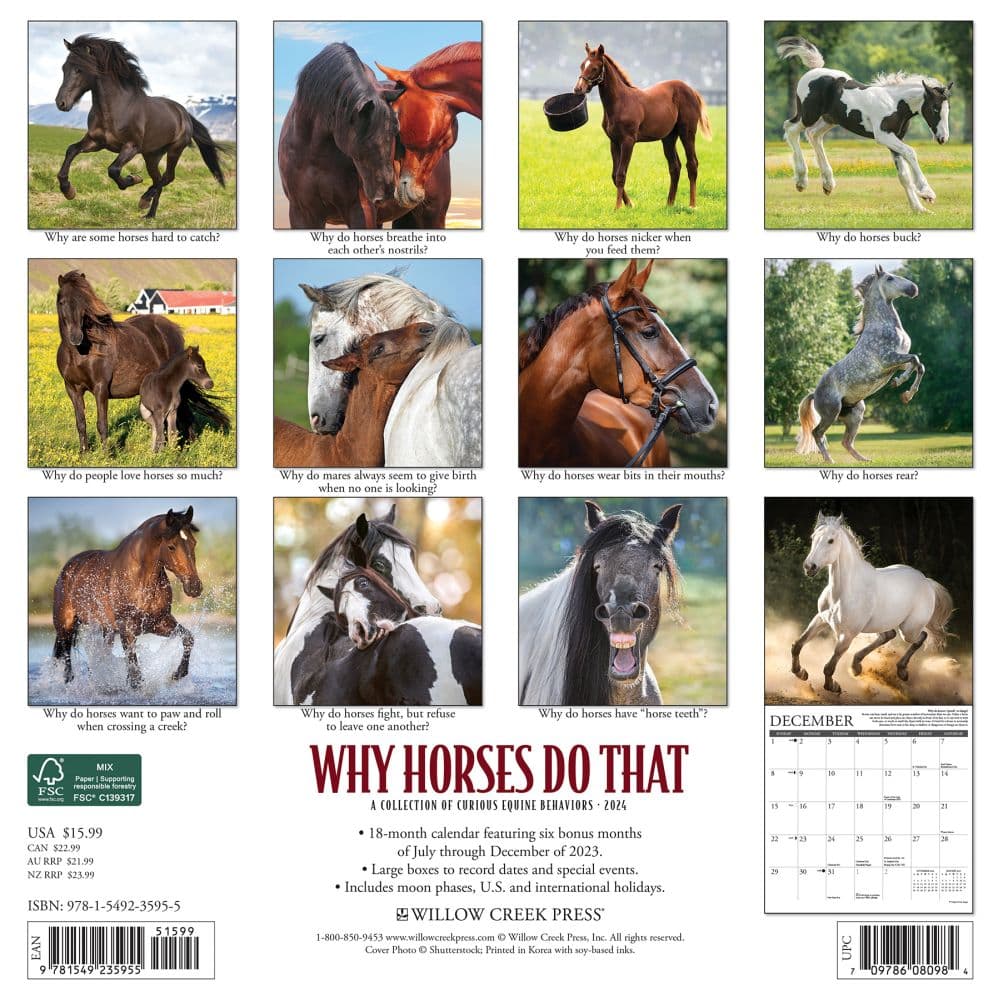 Why Horses Do That 2024 Wall Calendar Back of Calendar width=&quot;1000&quot; height=&quot;1000&quot;