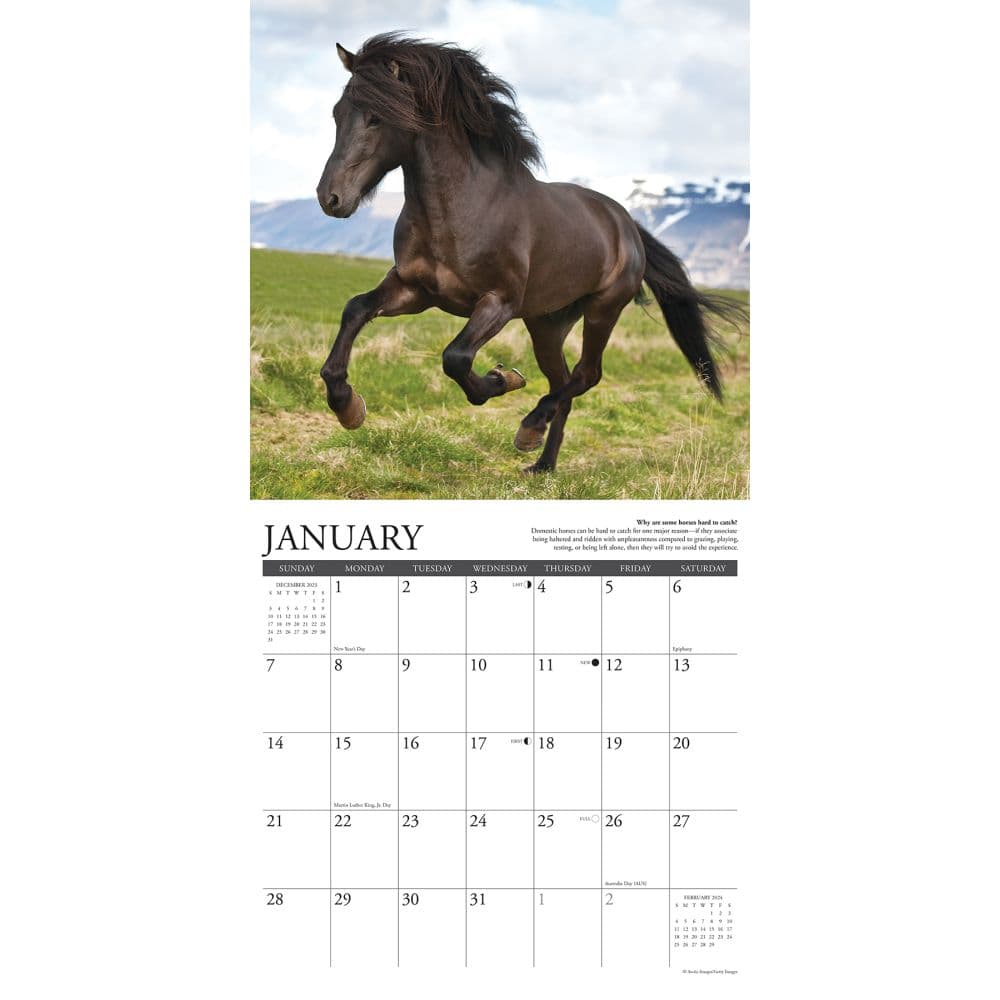 Why Horses Do That 2024 Wall Calendar Interior Image width=&quot;1000&quot; height=&quot;1000&quot;