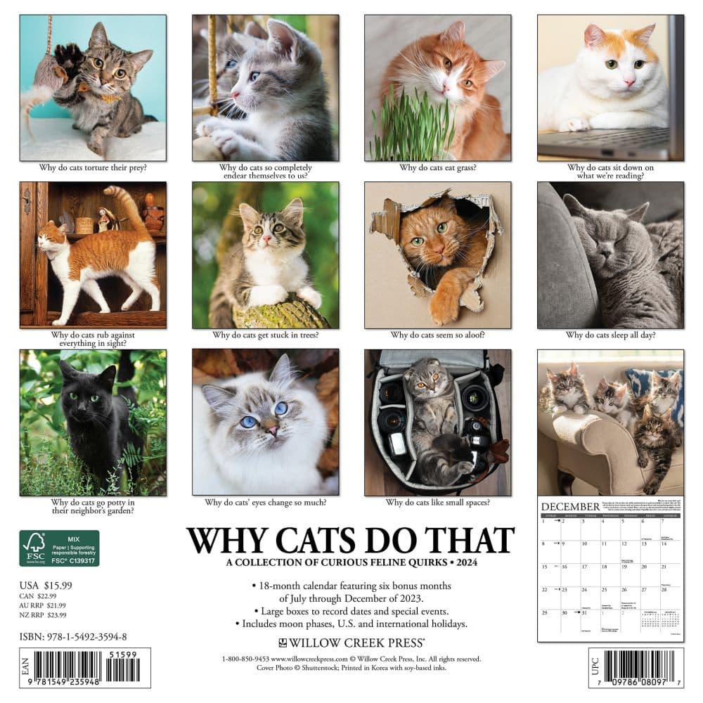 Why Cats Do That 2024 Wall Calendar Main Image width=&quot;1000&quot; height=&quot;1000&quot;