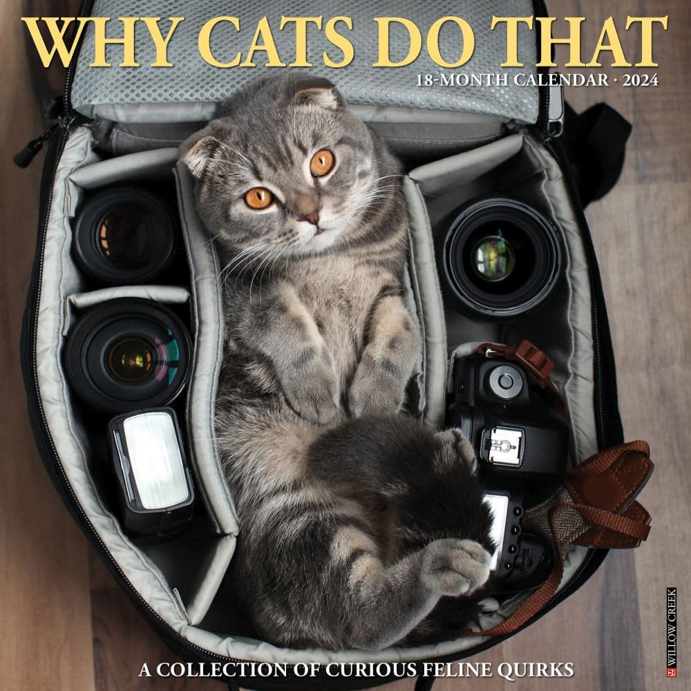 Why Cats Do That 2024 Wall Calendar Calendars Com   202400003967 