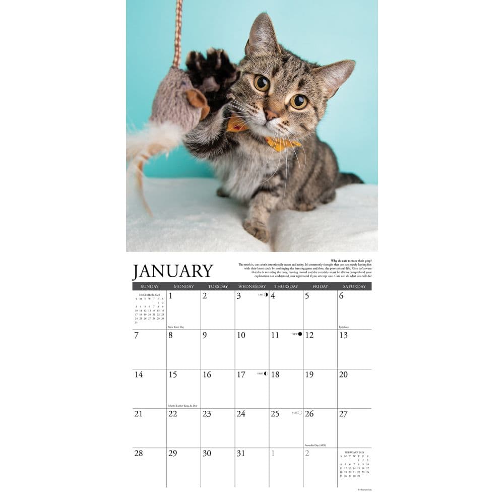 Why Cats Do That 2024 Wall Calendar Interior Image width=&quot;1000&quot; height=&quot;1000&quot;