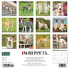 image Whippets 2024 Wall Calendar Back of Calendar width=&quot;1000&quot; height=&quot;1000&quot;
