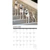 image Whippets 2024 Wall Calendar Interior Image width=&quot;1000&quot; height=&quot;1000&quot;