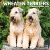 image Just Wheaton Terriers 2024 Wall Calendar Main Image width=&quot;1000&quot; height=&quot;1000&quot;