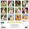 image Just Wheaton Terriers 2024 Wall Calendar Back of Calendar width=&quot;1000&quot; height=&quot;1000&quot;