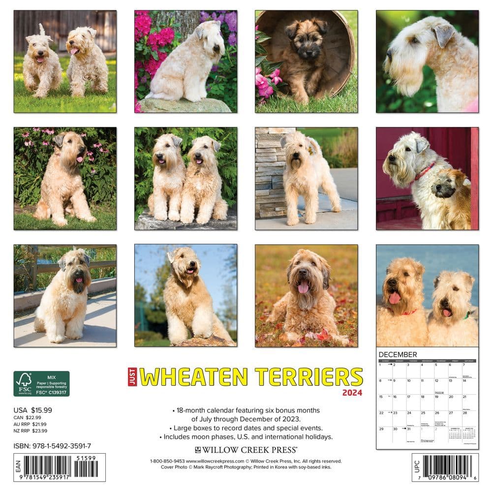 Just Wheaton Terriers 2024 Wall Calendar Back of Calendar width=&quot;1000&quot; height=&quot;1000&quot;