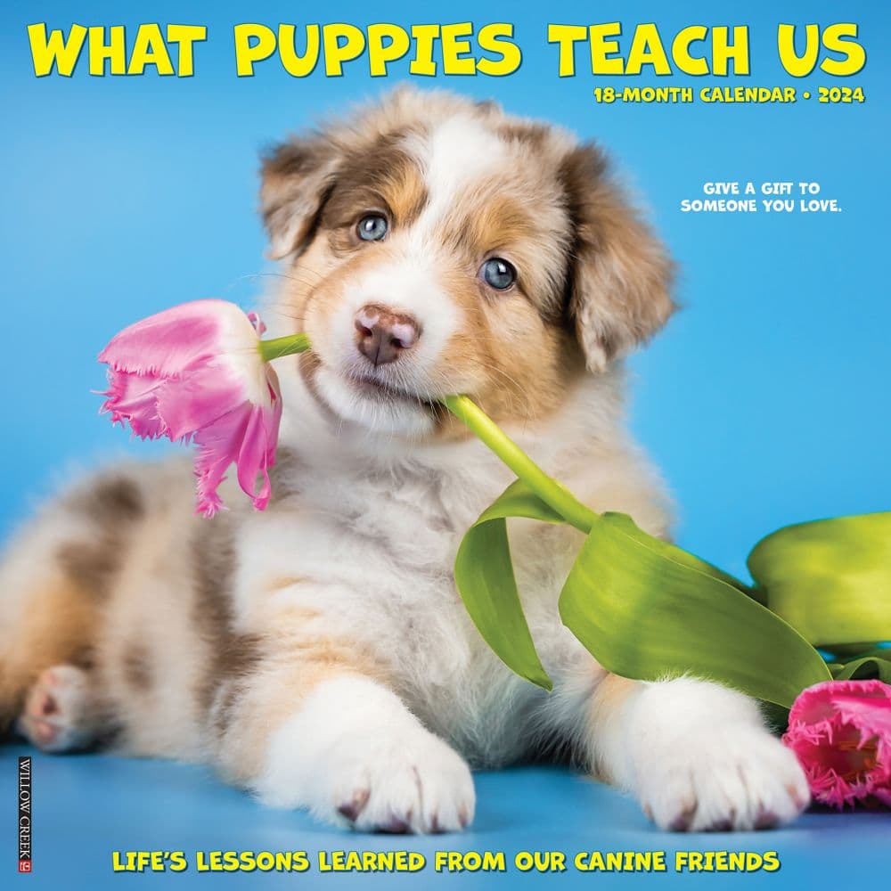 What Puppies Teach Us 2024 Wall Calendar Main Image width=&quot;1000&quot; height=&quot;1000&quot;