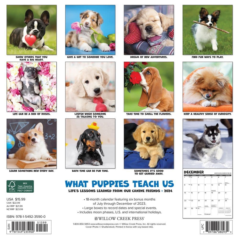 What Puppies Teach Us 2024 Wall Calendar Back of Calendar width=&quot;1000&quot; height=&quot;1000&quot;