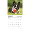 image What Puppies Teach Us 2024 Wall Calendar Interior Image width=&quot;1000&quot; height=&quot;1000&quot;
