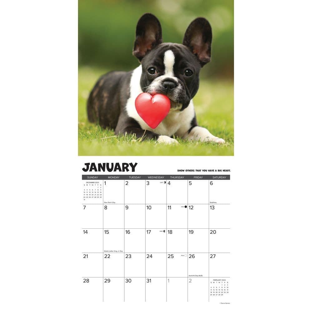 What Puppies Teach Us 2024 Wall Calendar Interior Image width=&quot;1000&quot; height=&quot;1000&quot;