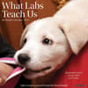 image What Labs Teach Us 2024 Wall Calendar Main Image width=&quot;1000&quot; height=&quot;1000&quot;