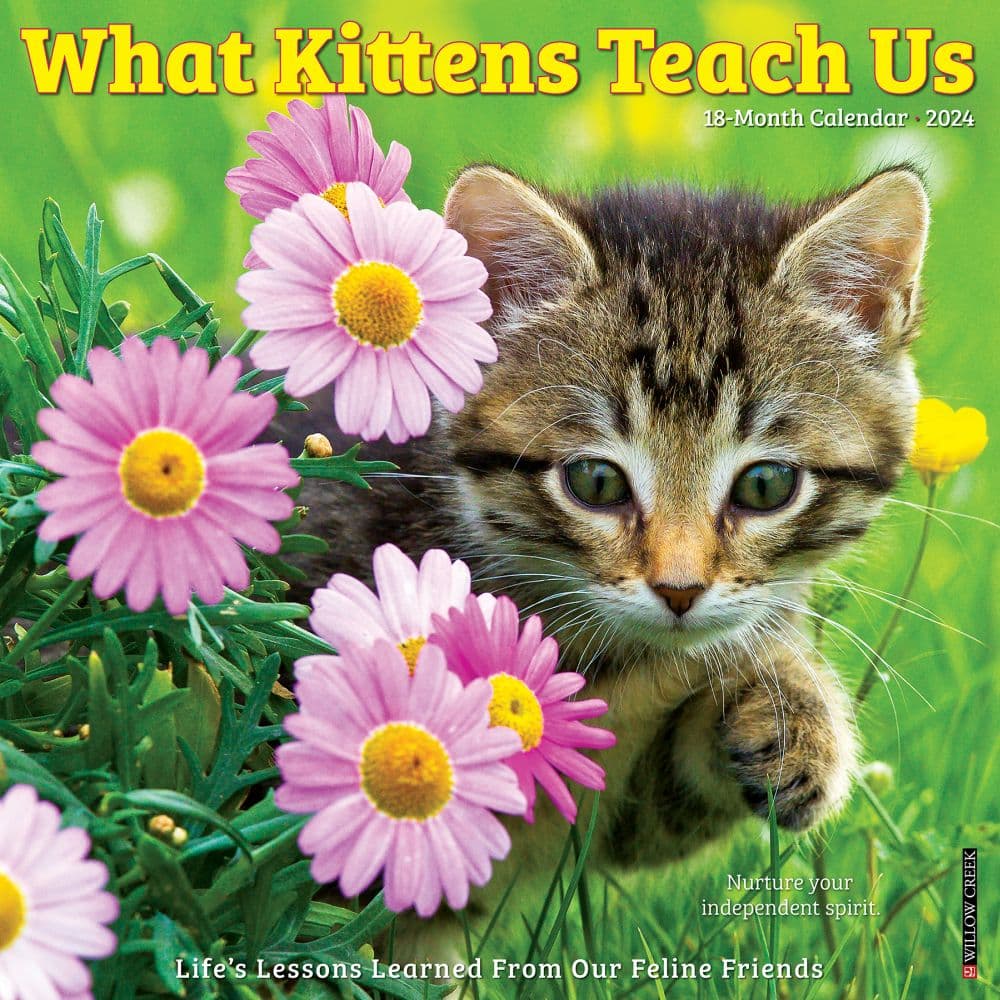 What Kittens Teach Us 2024 Wall Calendar Main Image width=&quot;1000&quot; height=&quot;1000&quot;
