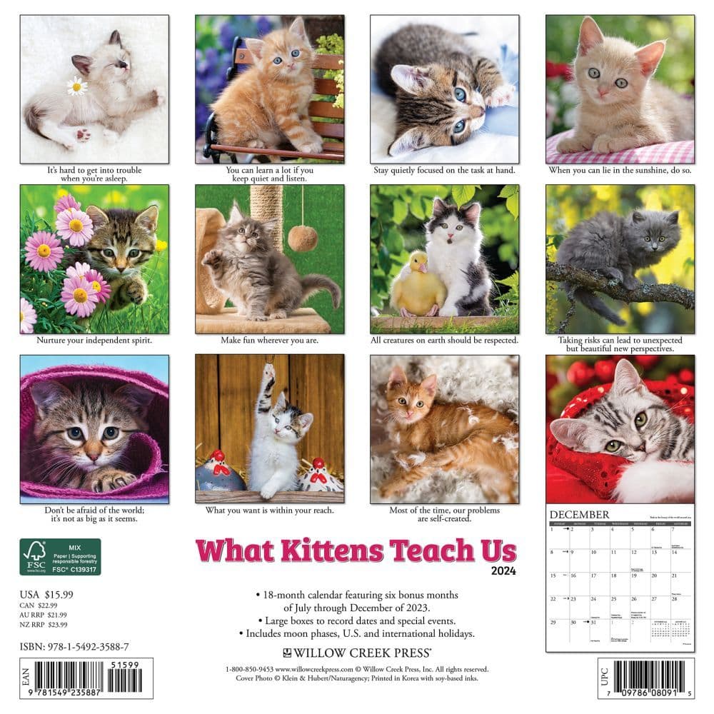 What Kittens Teach Us 2024 Wall Calendar Back of Calendar width=&quot;1000&quot; height=&quot;1000&quot;