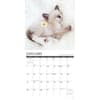 image What Kittens Teach Us 2024 Wall Calendar Interior Image width=&quot;1000&quot; height=&quot;1000&quot;